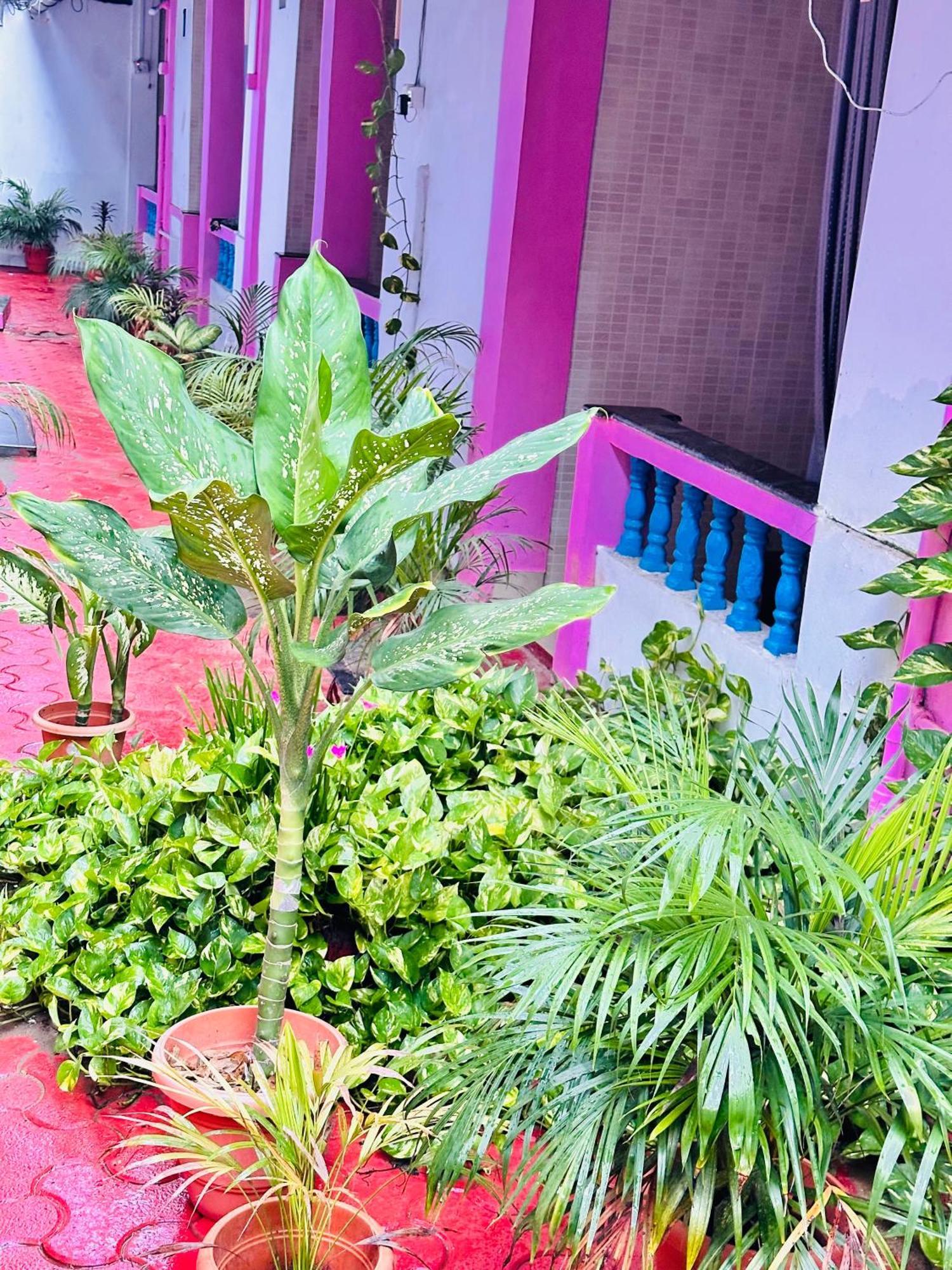 Hotel Blue Mirage Palolem Goa Canacona Esterno foto